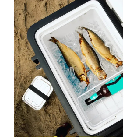 Frigorifero a compressore Mestic Compressor MCCA-42 AC / DC