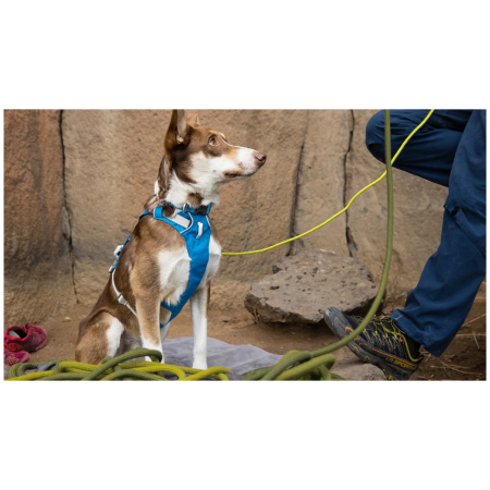 Pettorina per cane Ruffwear Flagline™ Harness