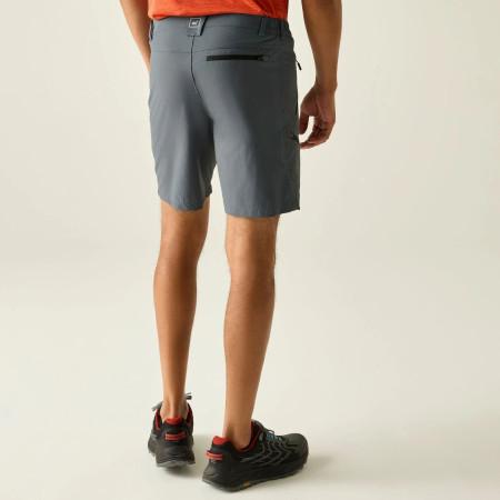 Pantaloncini da uomo Regatta Xert Stretch Shorts