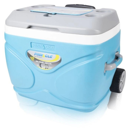 Frigorifero portatile Pinnacle Prudence 66L