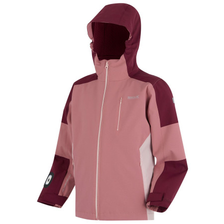 Giacca da bambino Regatta Girls Trekktain 3 in 1 II