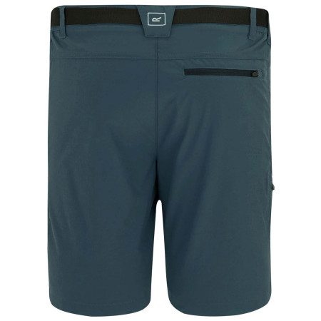Pantaloncini da uomo Regatta Xert Stretch Shorts