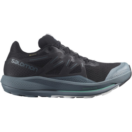 Scarpe da corsa da uomo Salomon Pulsar Trail Gtx nero/blu black
