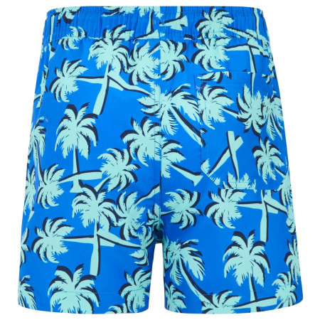 Costume da bagno per bambini Regatta Skander SBluIGrPalm