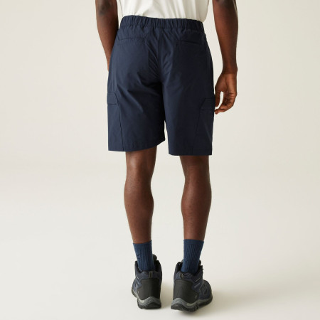 Pantaloncini da uomo Regatta Mallen Shorts