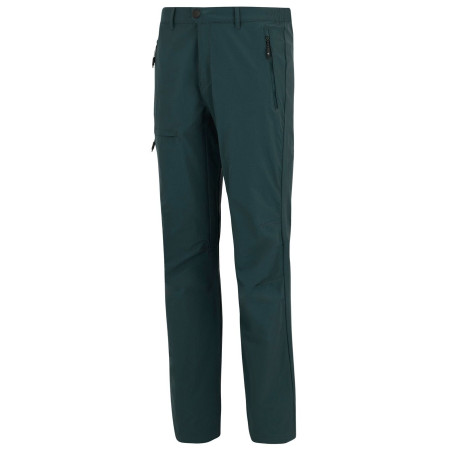 Pantaloni da uomo Regatta Highton Trousers II
