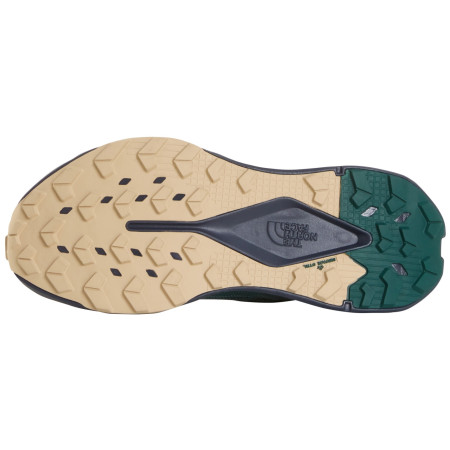 Scarpe da corsa da uomo The North Face M Altamesa 300 V2