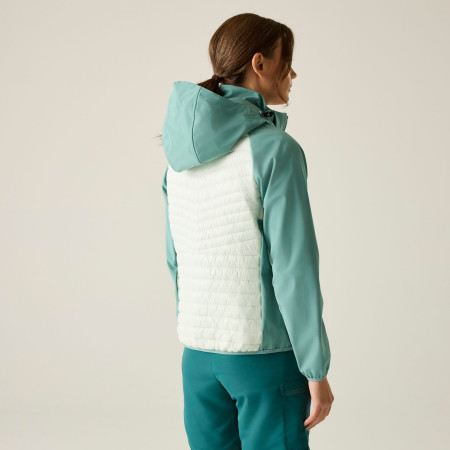 Giacca da donna Regatta Womens Pro Hybrid II