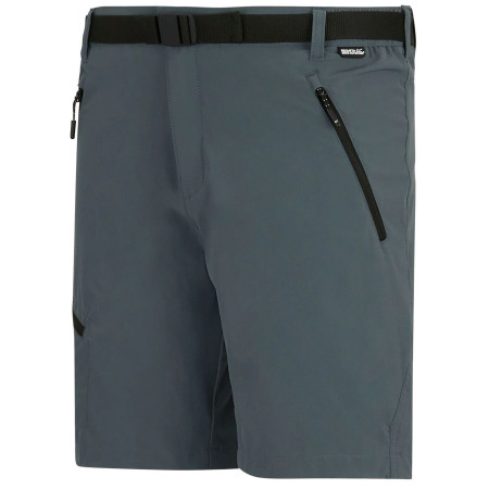 Pantaloncini da uomo Regatta Xert Stretch Shorts