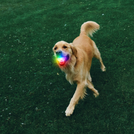 Giocattolo per cane Nite Ize Glowstreak Rechargeable Led Ball