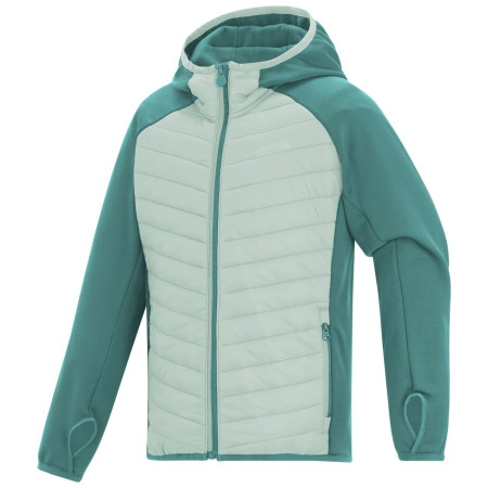 Giacca da bambino Regatta Junior Andreson Hybrid IvyMossOMist