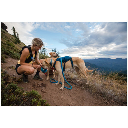 Pettorina per cane Ruffwear Switchbak™ Harness