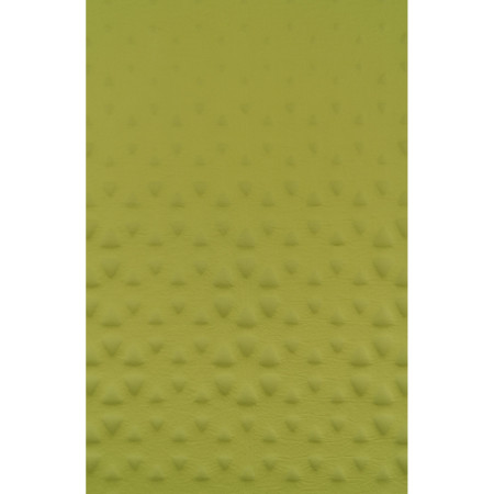 Materassino autogonfiante Sea to Summit Camp Mat Self Inflating Mat R