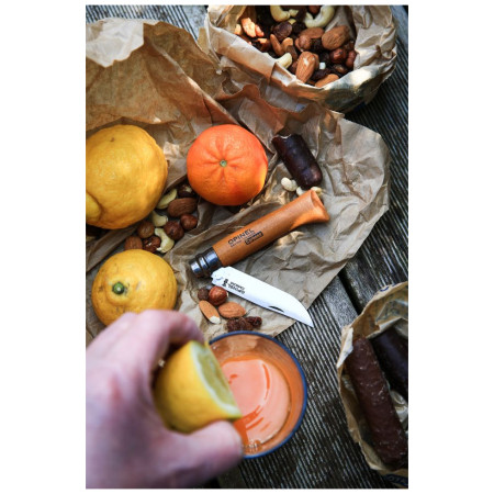 Coltello chiudubile Opinel N°02 Carbon