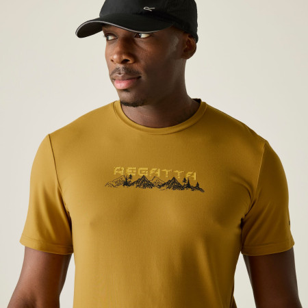 Maglietta da uomo Regatta Fingal Stretch