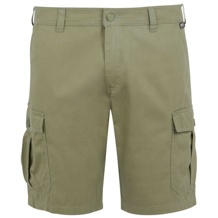 Pantaloncini da uomo Regatta Ruwan Shorts verde Fauna