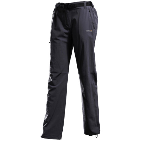 Pantaloni da uomo Regatta Xert Str Trs II grigio Grey