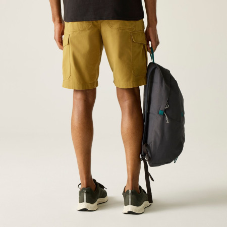 Pantaloncini da uomo Regatta Ruwan Shorts