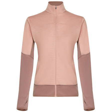 Felpa tecnica da donna Icebreaker Women Merino Blend 300 RealFleece™ Descender LS Zip rosa Summit/Blush/Cb