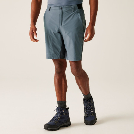 Pantaloncini da uomo Regatta Eldes Shorts