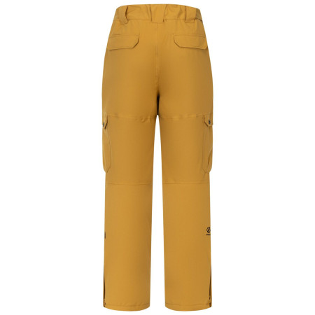 Pantaloni da uomo Dare 2b Baseplate Insulated Pant