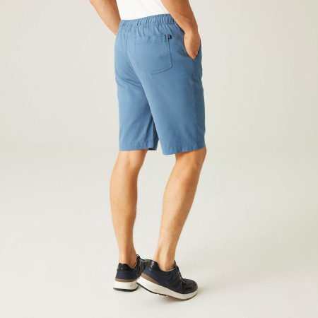 Pantaloncini da uomo Regatta Aldan Short