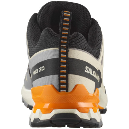 Scarpe da uomo Salomon Xa Pro 3D V9