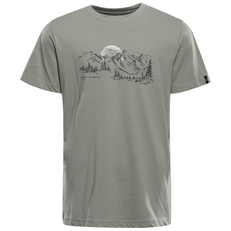 Maglietta da uomo Alpine Pro Termes 4 grigio Grey