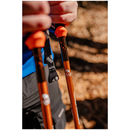 Bastoncini da trekking Zulu Trekker Antishock