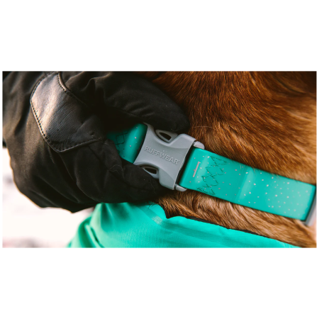 Collare per cane Ruffwear Confluence™ Collar