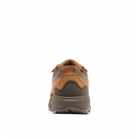 Scarpe da uomo Columbia Newton Alpine™ Low