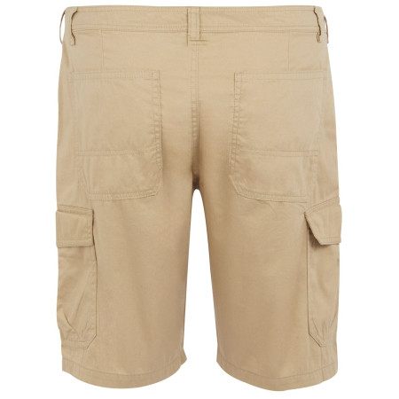 Pantaloncini da uomo Regatta Ruwan Shorts