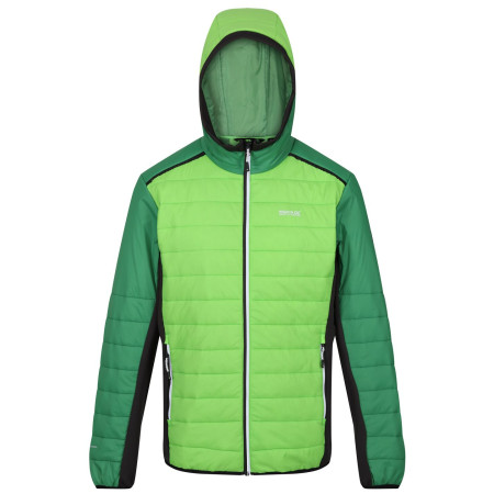 Giacca da uomo Regatta Trutton II verde Jasmine Green/Field Green