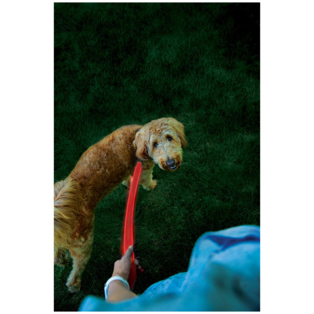 Guinzaglio per cane Nite Ize LED NiteDog