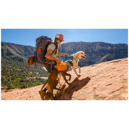 Zaini per cani Ruffwear Approach™ Pack