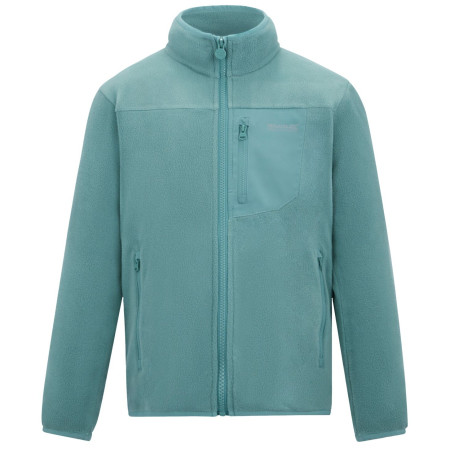 Felpa da bambino Regatta Junior Frankie F/Z Ivy Moss verde chiaro Ivy Moss