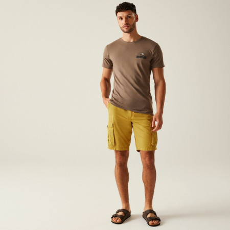 Pantaloncini da uomo Regatta Shorebay Shorts II