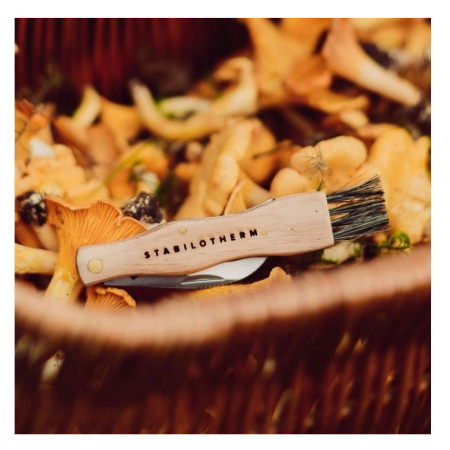 Coltello per funghi Stabilotherm Svampkniv 6 cm
