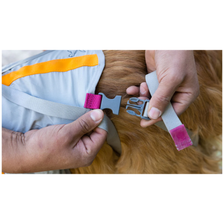Pettorina per cane Ruffwear BackTrak™ Dog Evacuation Kit