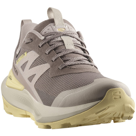 Scarpe da trekking da donna Salomon Elixir Activ Gore-Tex