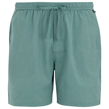 Pantaloncini da uomo Regatta Hadlin Shorts azzurro Arctic