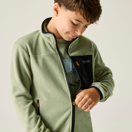 Felpa da bambino Regatta Junior Frankie F/Z Light Sage