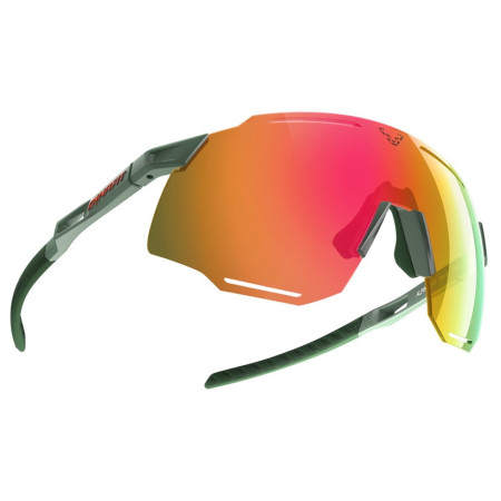 Occhiali da sole Dynafit Alpine Evo Sunglasses verde 5290 - sage / thyme CAT 3