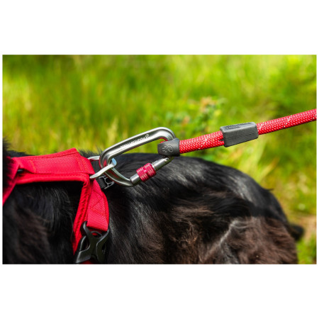 Guinzaglio per cane Mountain Paws Rope Dog Lead