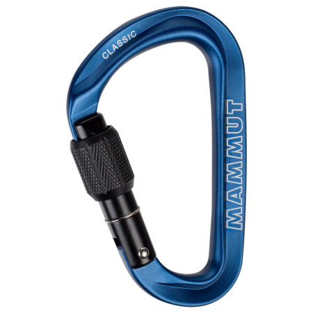 Moschettone Mammut Classic HMS Screwgate Carabiner blu 1550 - Screw Gate, blue