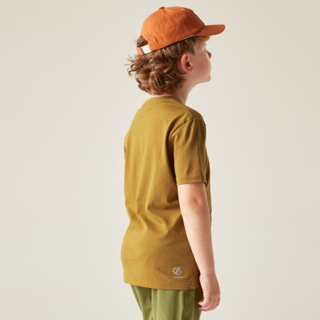 Maglietta da bambino Dare 2b Trailbazer III Tee Dark Cumin