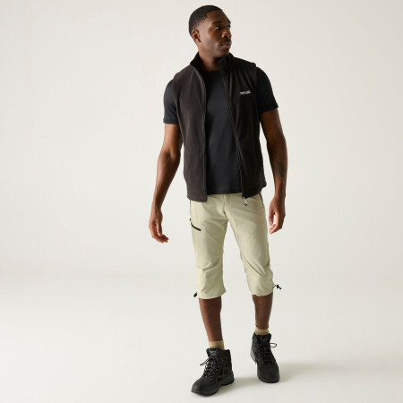 Pantaloni a 3/4 da uomo Regatta Xert Stretch Capri