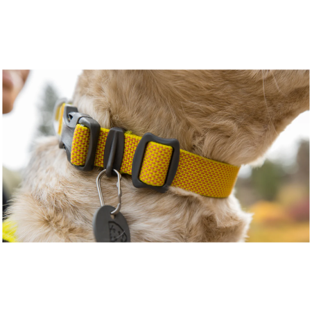 Collare per cane Ruffwear Hi & Light™ Collar