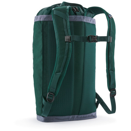 Zaino Patagonia Fieldsmith Linked Pack 24L