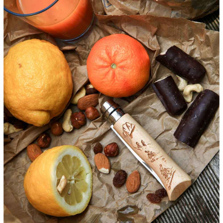 Coltello Opinel Vri N°8 Inox Biking